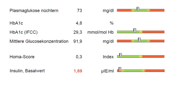 Blutzuckermessung mit Insulin und Langzeitzucker